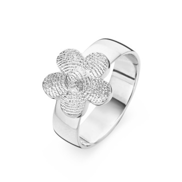 Bliss 5 silver / silver